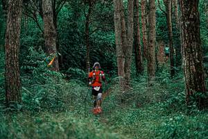 BIB: 
                            <button type="button" onclick="openModal(25237510)" class="btn btn-primary btn-sm float-right btn-popup" data-toggle="modal" data-target=".modal-high-quality">
                        <i class="fas fa-shopping-cart"></i> Add to Cart
                    </button>
                                            <button type="button" onclick="isThisMe(25237510, true)" class="btn btn-success btn-sm float-right btn-popup btn-isme hidden" data-toggle="tooltip" data-placement="bottom" title="นี่คือรูปของคุณใช่ไหม คลิกที่นี่เพื่อเอาเข้าอัลบั้ม">
                        <i class="fas fa-plus"></i> Add to album
                    </button>
                    <button type="button" onclick="isThisMe(25237510, false)" class="btn btn-warning btn-sm float-right btn-popup btn-isnotme hidden">
                        <i class="fas fa-ban"></i> Remove from album
                    </button>